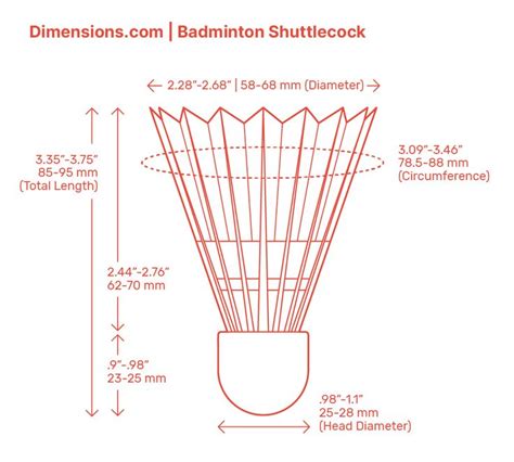 Badminton Shuttlecock | Shuttlecock, Badminton, Badminton racket