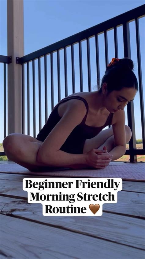 Beginner Friendly Morning Stretch Routine 🤎 | Morning stretches routine ...