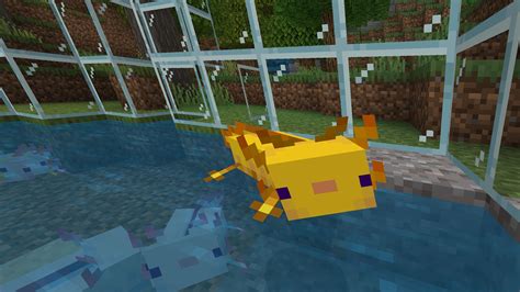 Minecraft Axolotls Information: Easy Methods To Discover, Breed And Tame - Docemas