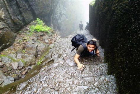 Grab Your Friends And Take The Visapur Waterfall Trek Before The Monsoons End | Curly Tales