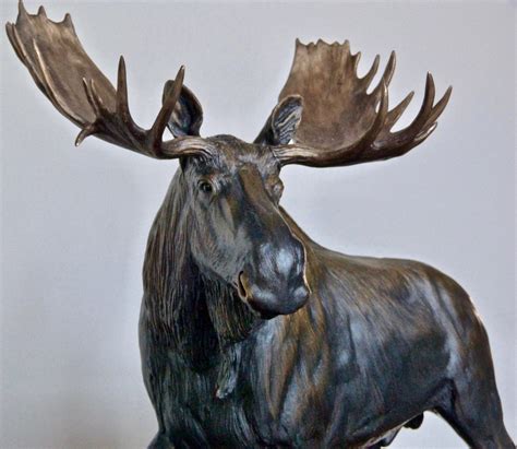 Bull Moose Bronze Sculpture | Tom Hjorleifson