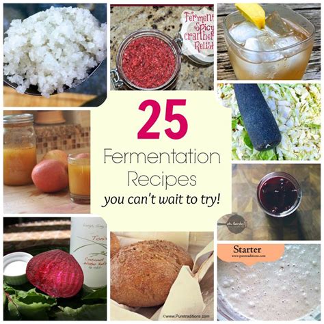 Fermentation recipes | Fermentation recipes, Raw food recipes, Whole food recipes