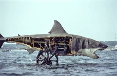 here's Brucey!!! The animatronic used in jaws. : submechanophobia | Shark, Film history, Funny ...
