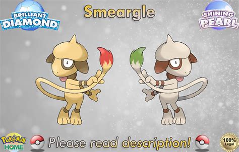 Shiny/non-shiny Smeargle 6IV Brilliant Diamond/shining Pearl - Etsy