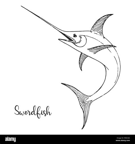 Hand drawn swordfish. Vector illustration in sketch style Stock Vector Image & Art - Alamy