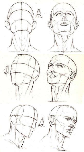 Portrait - Different angles and perspective of the head Anatomy Sketches, Anatomy Drawing, Body ...