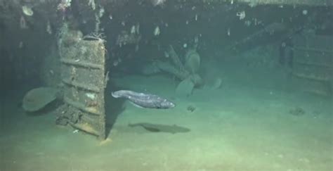 The propellers of the MV Dona Paz, which sunk in 1987. It is the worst ...