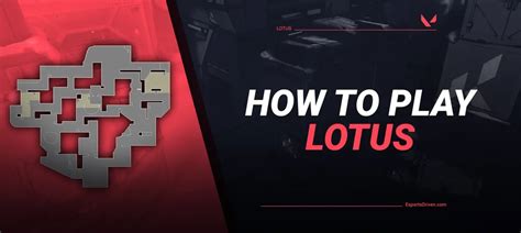 How To PROPERLY Play Lotus | Strategies and Guides