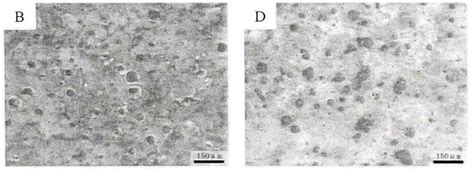 Effect of ultrasonic time on Microstructure and properties of nodular ...