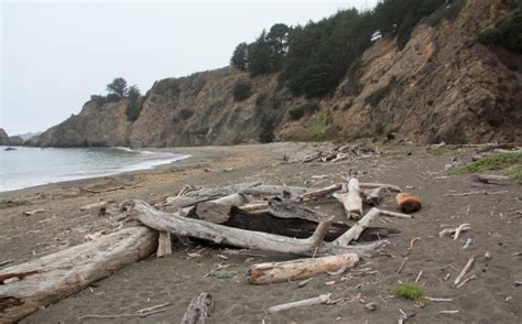 Greenwood State Beach in Elk, CA - California Beaches