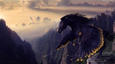 Black Horse Wallpapers - Wallpaper Cave