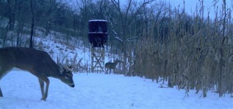 Using a Heater in a Hunting Blind - Banks Outdoors