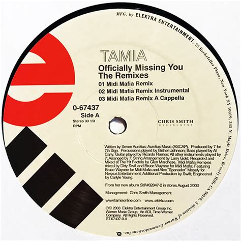 Tamia – Officially Missing You (The Remixes) (2003, Vinyl) - Discogs