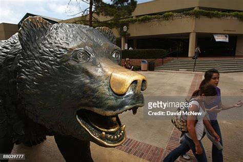 University Of California Los Angeles Mascot Photos and Premium High Res ...