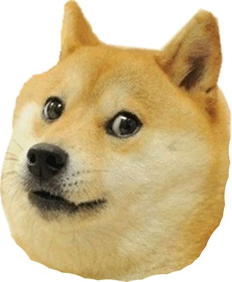 Doge Meme - Much Wow Dog - Funny Shiba Inu Meme