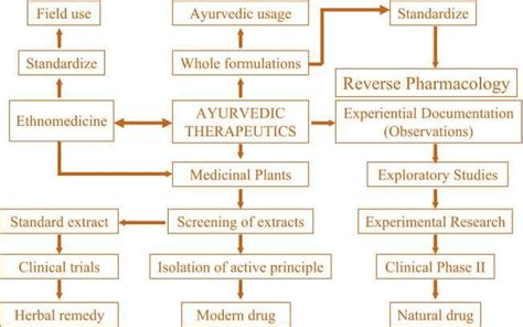 -Schematic representation of the research and development (R&D) process... | Download Scientific ...