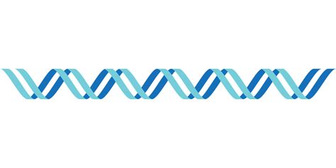 Dna,dna icon,icon,double stranded dna,helix - free image from needpix.com