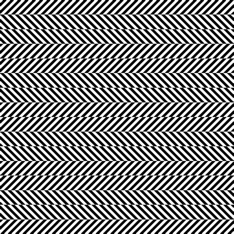 Horizontal Lines Optical Illusion : Black And White Lines Optical Illusion Horizontal ... : What ...