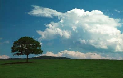 Cumulus Congestus