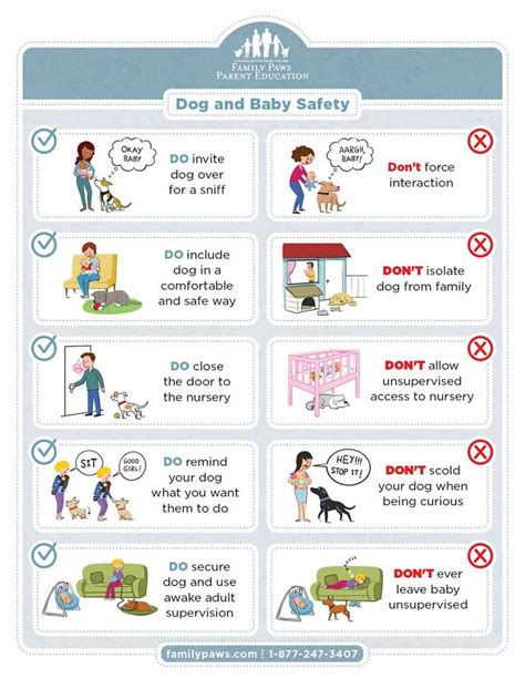 Dog and Baby Safety | Perros y bebes, Perros, Articulos para perros