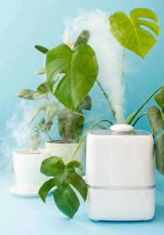 Indoor Air Cleaners for Pollution, Asthma and Allergies – Health Journal