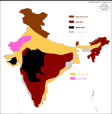 Major Soil Types India Outline Map