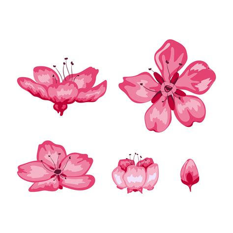 Blossoming Flower Vector Art, Icons, and Graphics for Free Download