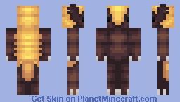 Armadillo with golden shell! *WOOT* [Because you know why] Minecraft Skin