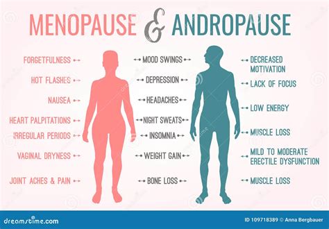 Menopause and Andropause stock vector. Illustration of body - 109718389