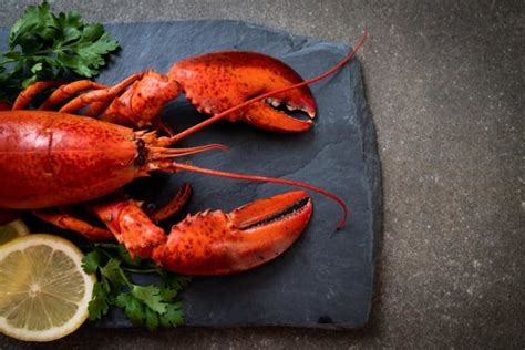 15 Different Types of Lobster – Nayturr