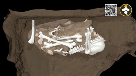 Homo Naledi Discovery Reveals Evidence of Ancient Human Rituals and Tool Use - EngGenie