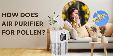 How does air purifier for pollen? – Ameifu