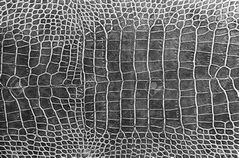 black crocodile skin texture as a wallpaper | Crocodile skin, Zbrush ...