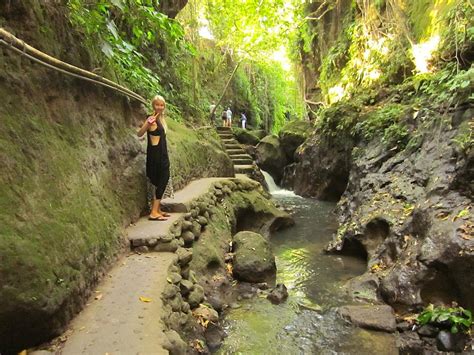 Ubud Monkey Forest, Nature Reserves To 340 Monkeys - Traveldigg.com