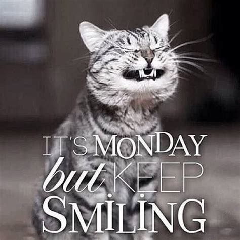 Good Morning Happy Monday Funny Meme - Funny Memes Mania