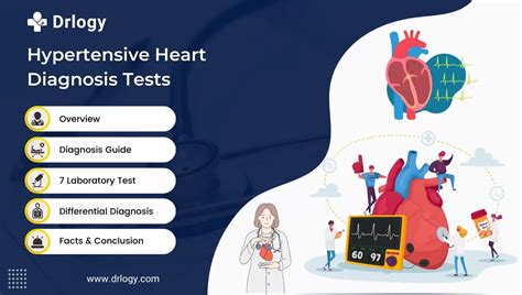 7 Advanced Test ForHypertensive Heart Disease Diagnosis - Drlogy