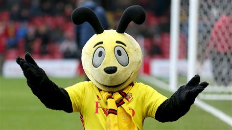 Roy Hodgson warns Watford mascot Harry the Hornet not to dive | Sport | The Times