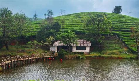 9 Gorgeous Hill Stations Near Kannur That You Must Visit In 2023