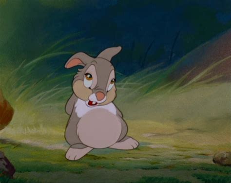 Bambi Quotes Thumper Rabbit. QuotesGram