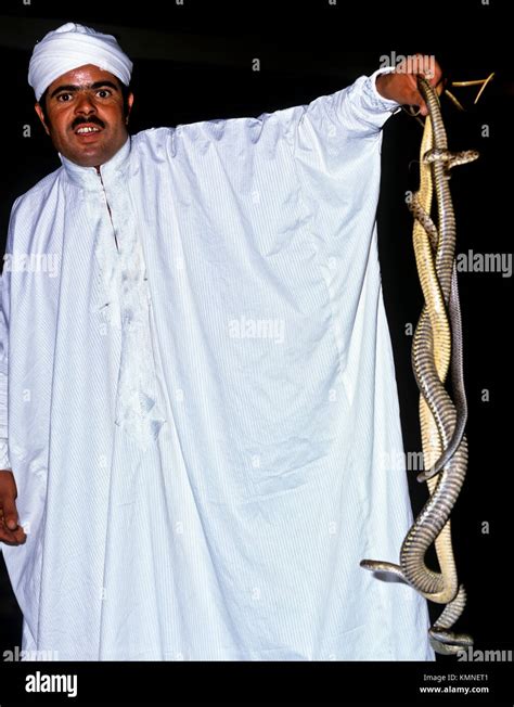 8732. Snake Charmer, Agadir, Morocco Stock Photo - Alamy