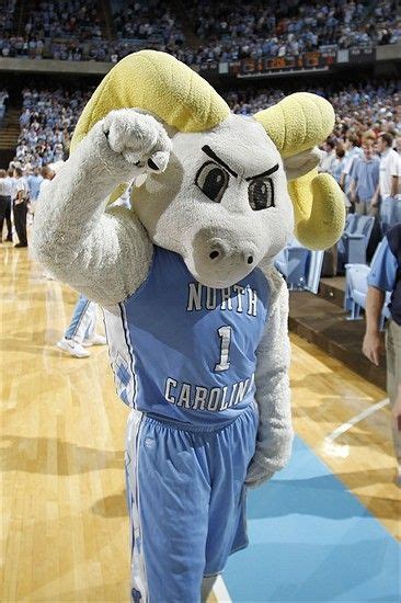 Tar Heel Blue Website | ... Site - Panthers, Bobcats, Duke Blue Devils ...