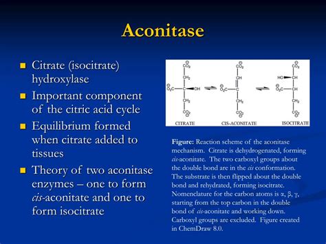 PPT - ACONITASE: Structure and Function PowerPoint Presentation, free ...