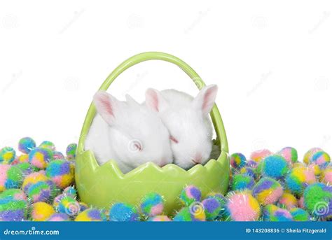 Two Baby Bunnies Sleeping in Green Basket Stock Photo - Image of green, craft: 143208836