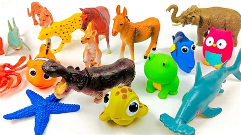 Funnest Toys Kids Learning Show Featuring Lots of Zoo Animals - YouTube