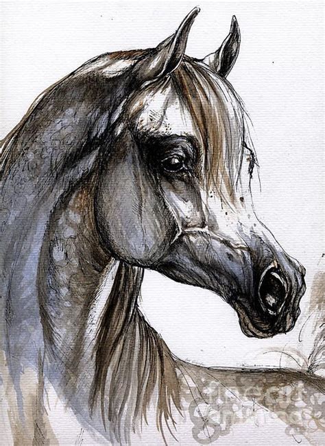 "Arabian Horse" by Angel Tarantella #art #horse #watercolor #painting ...