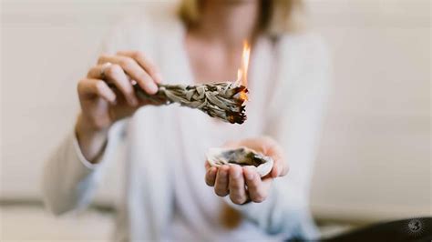 10 Healthy Benefits of Burning Sage in Your Home » | Benefits of ...