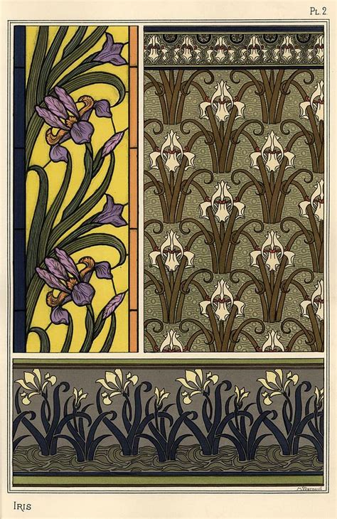 The iris in various patterns. Drawing by Album