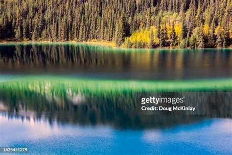 105 Klondike Lake Stock Photos, High-Res Pictures, and Images - Getty Images