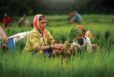 An upgrade for the agrarian economy - One India One People Foundation