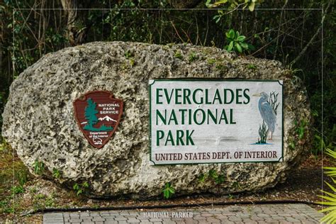 National Park Service reports 'active shooter’ at Everglades National ...